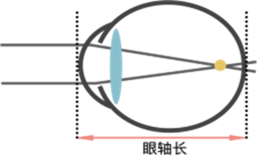 微信圖片_20230608164513.jpg