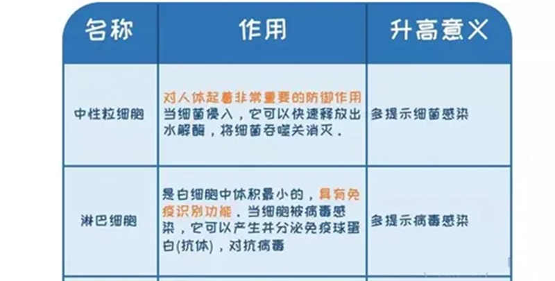 微信圖片_20240112171303.jpg