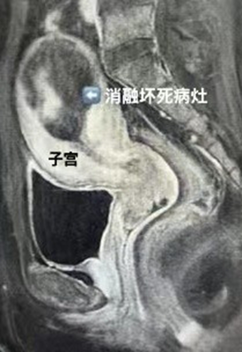 微信圖片_20240301162610.jpg
