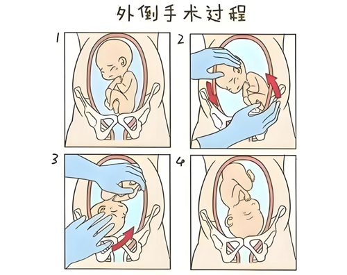 微信圖片_20250512084912.png